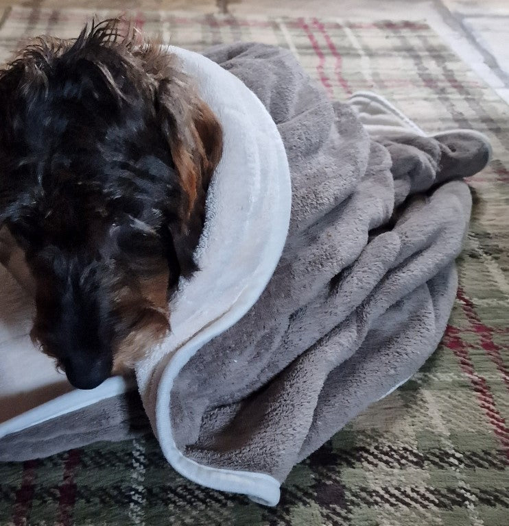 Dog drying outlet blanket