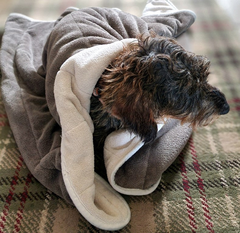 Dog cheap drying blanket