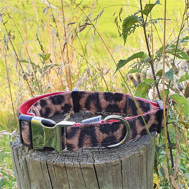 Animal print dog outlet collar