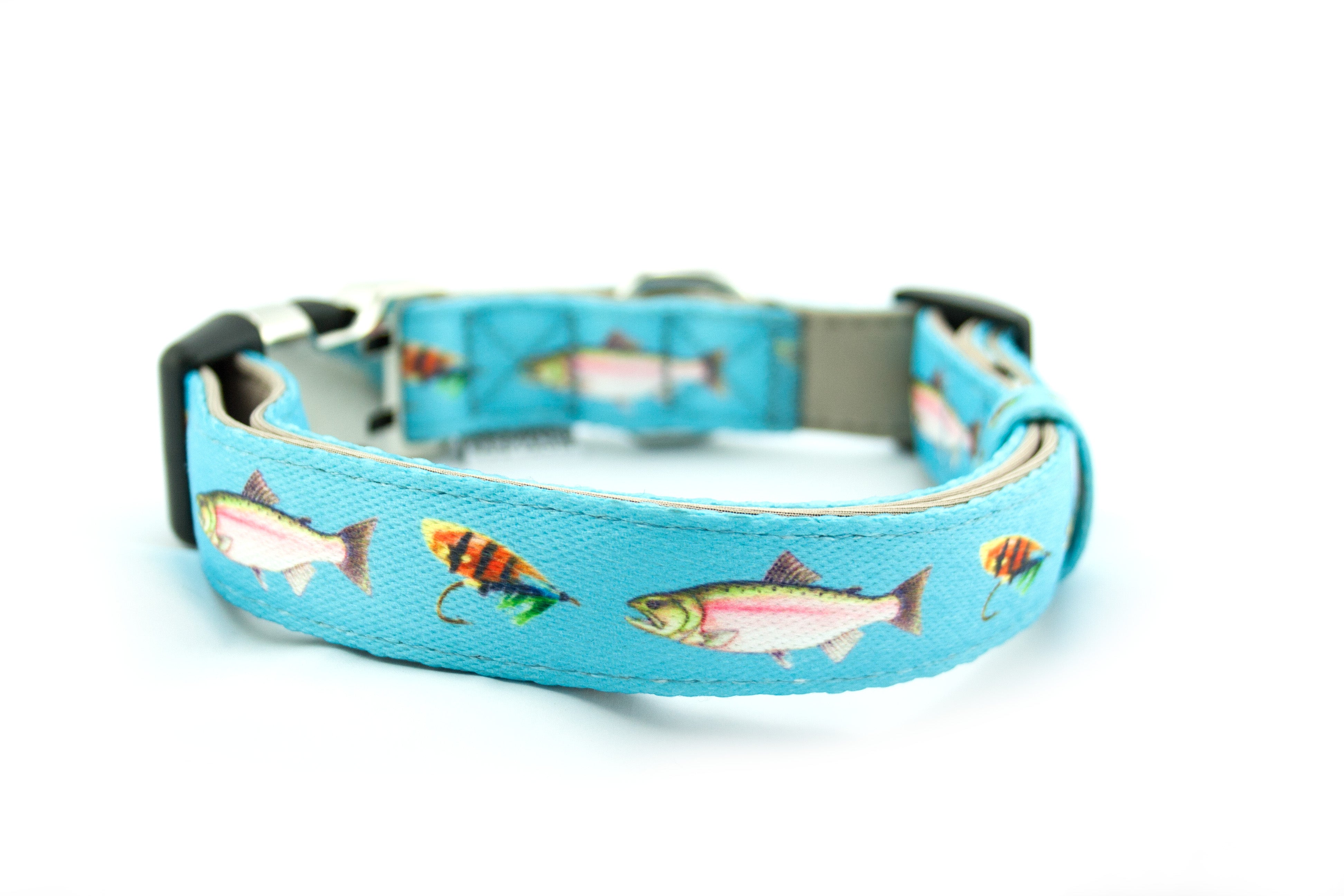 Fish store dog collar