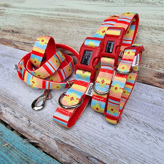 Santa Fe Printed Webbing and soft Neoprene Dog Collar