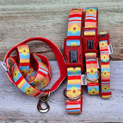 Santa Fe Printed Webbing and soft Neoprene Dog Collar