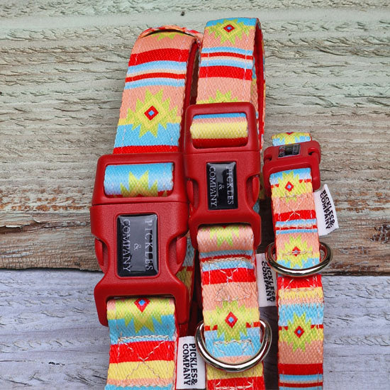 Santa Fe Printed Webbing and soft Neoprene Dog Collar