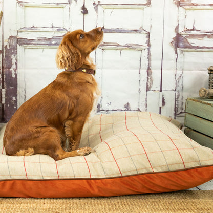 burnt orange dog bed