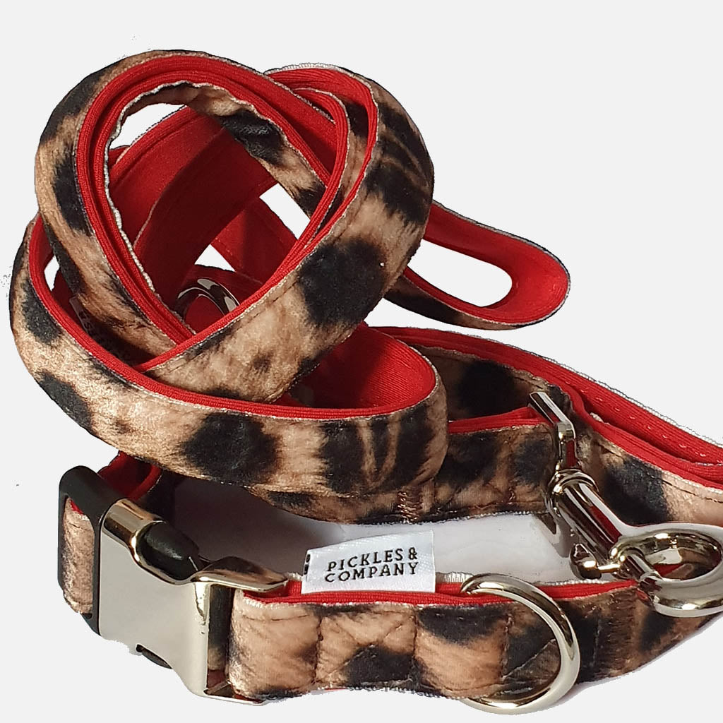 Leopard print dog collar and clearance leash