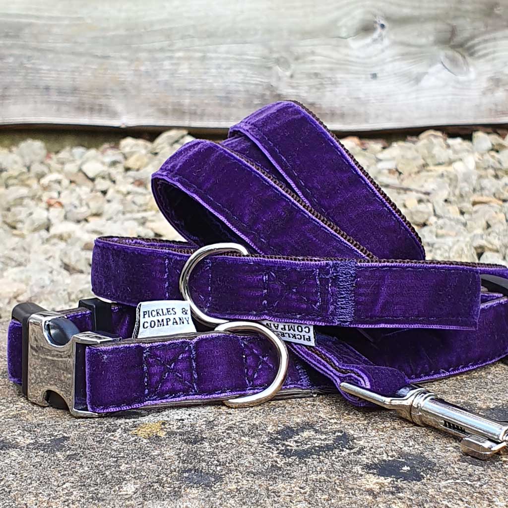 Dark purple outlet dog collar